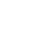 toyo tires